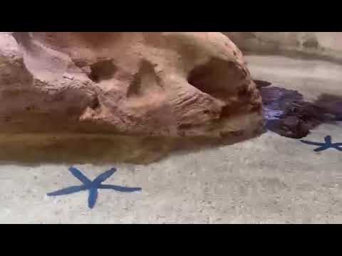 The adventures begin @ yas Island Abu dhabi