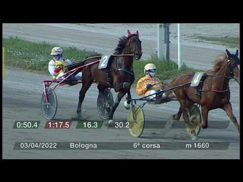 2022 04 03 | Corsa 6 | Metri 1660 | Premio Mirarte - Progetto Visite Guidate All'Ippodromo