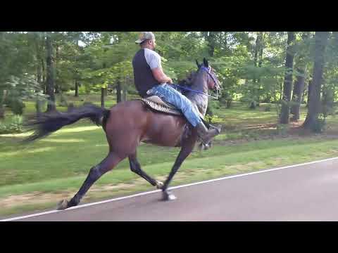 Speed Racking at its best