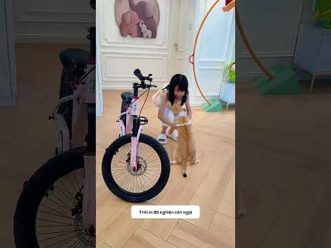 Cắt phanh ép đi chơi ✂️🚲