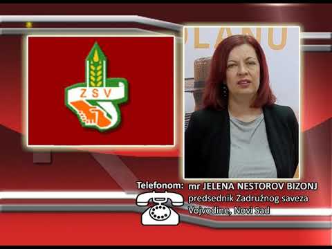 FONO:  mr Jelena Nestorov Bizonj - Nastup zadrugara na Sajmu