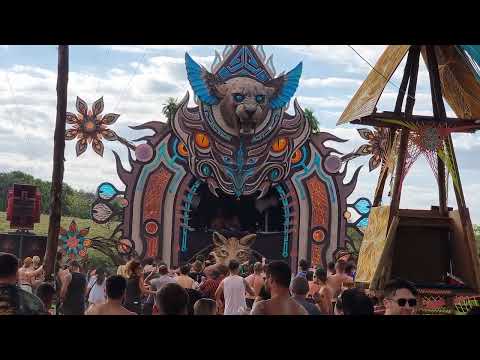 Resistência Mainfloor #7 2023 Expression (Psilocybe Project & Myrah)