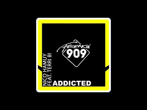 Nico Hammuy & Terri B - Addicted