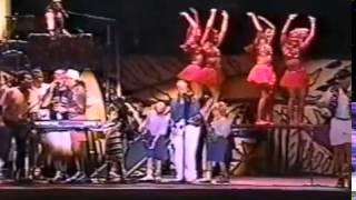 Beach Boys Barbara Ann live 1995