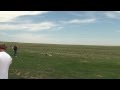 SCREAMING High Power Rocket On A Black Jack Motor