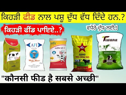 गाय भैंस के लिए कौनसी फीड है सबसे अच्छी | Best feed for Cow and buffalo | agri advice