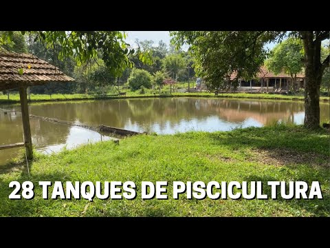 SÍTIO DE 10 HECTARES À VENDA EM PRATÁPOLIS - MG - VALOR 1,5 MILHÃO