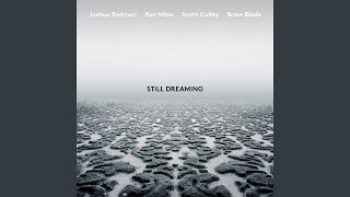 It's Not The Same (feat. Ron Miles, Scott Colley & Brian Blade)