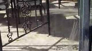 Back and Forth, Again