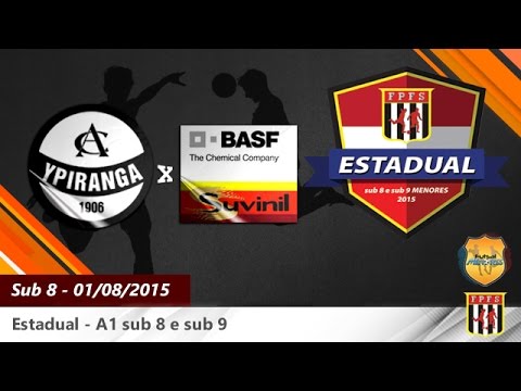 8-Ypiranga 3x2 Basf 01/08/15