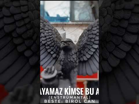 Anlayamaz Kimse Bu Aşkı🖤🤍❤️🦅 ( enstrümantal) Beste; Birol Can
