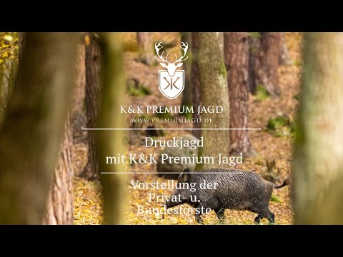 Drückjagd gefällig? Mit K&K Premium Jagd auf den Drückjagdstand!