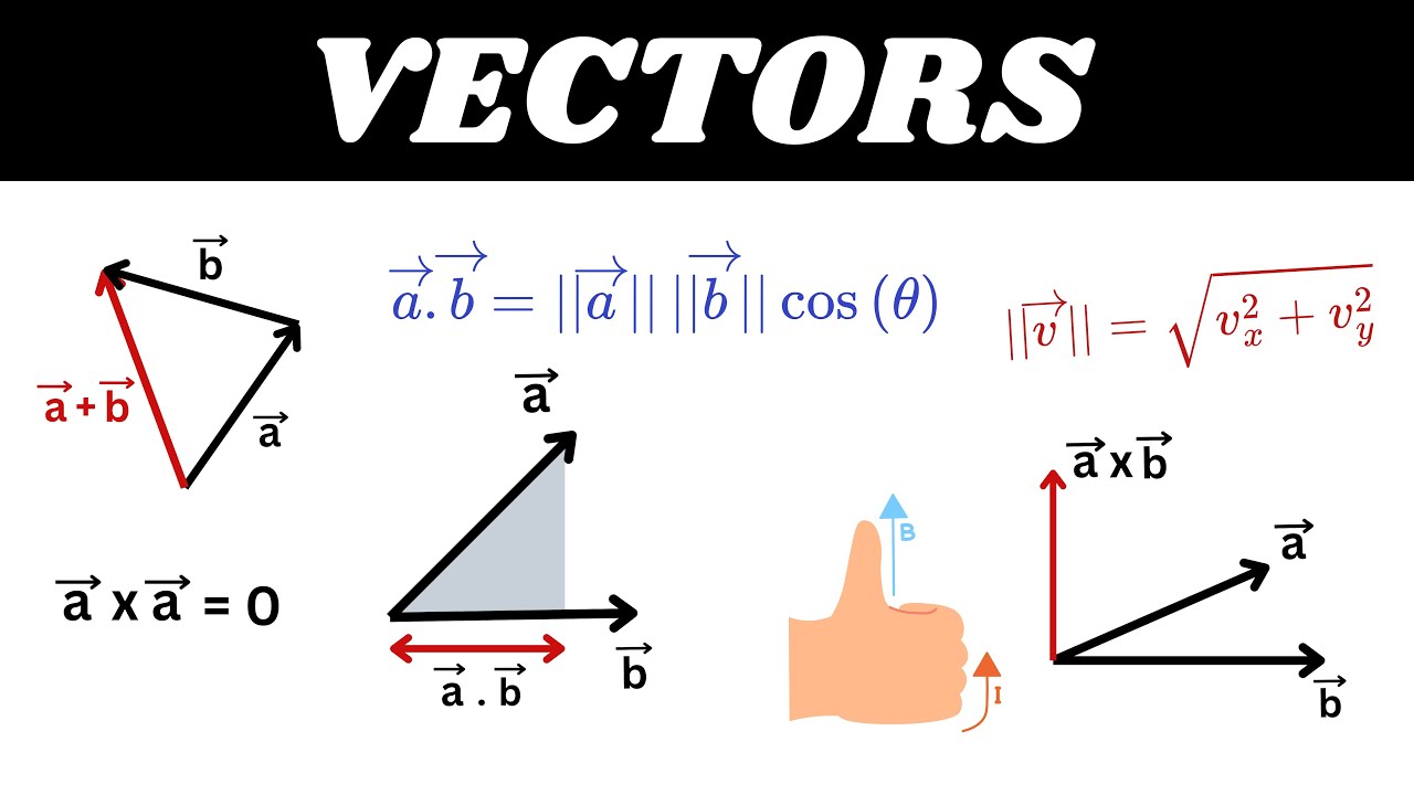 Everything You Need To Know About Vectors - Part-1
