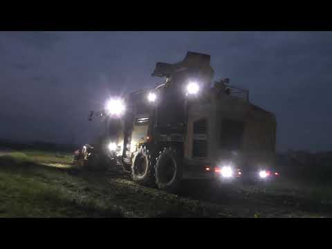 das gelbe monster aus niederbayern im einsatz rübenroder ropa tiger 6 beim rüben roden  in regensbur