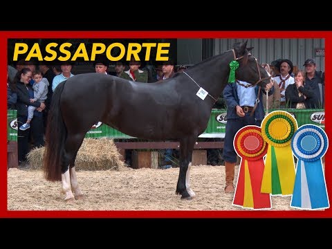 Success in the IGREJINHA PASSPORT!