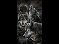 Wolves Sam Tinnesz Low Pitch