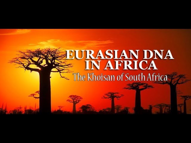 Eurasian DNS in Africa - South African Khoisan