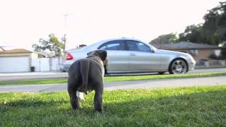 av vimeo com 21604 127 43792156 mp4 token=1301638125 b927ea54e10defae4871f26761d31303