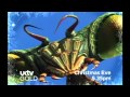 Antz Sci Fi