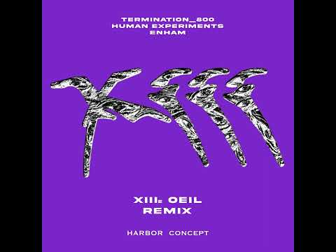 PREMIERE: Flux - DTA (Termination_800 Remix)[HCEP04]