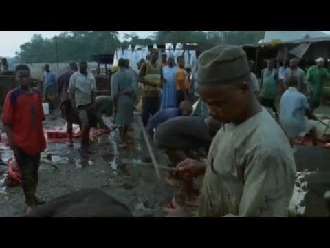 Patnja teškog radnika - Ponedjeljak 17:30