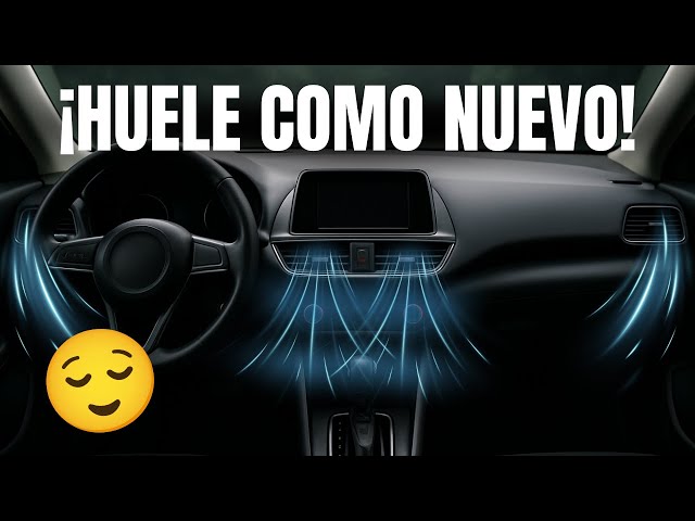 Vídeo relacionado con Ambientador de Coche para Dacia Spring Lodgy Dokker Duster Logan Sandero Stepway, Difusor Fragancia Perfume Salida de Aire, Desodorante Aromaterapia, Decoración Interiores,A/Black