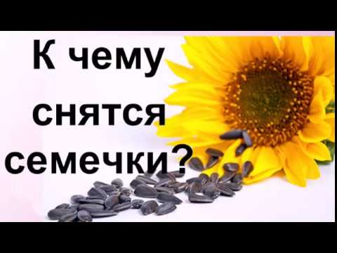 download lagu mp3 mp4 сон семечки, download lagu сон семечки gratis, unduh video klip Download сон семечки Mp3 dan Mp4 320kbps Gratis