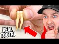 TikToks That Will *UNLOCK* A New Fear!