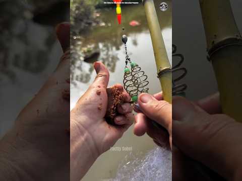 Amazing Fishing Rod With Fishing Net 😱😱 #shorts #short #fishing #amazing #fishingrod