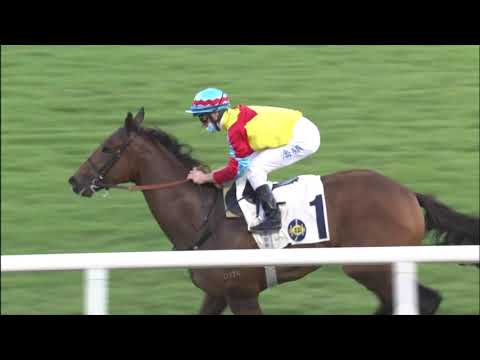 26/12/2020 (304) Wellington -  Z Purton (Win after an 8-month break)