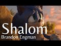 Shalom Brandon Engman AMV Sonic The Hedgehog