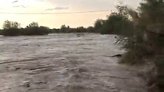 preview picture of video 'saving the dog from flash flood tyson wash quartzsite arizona'