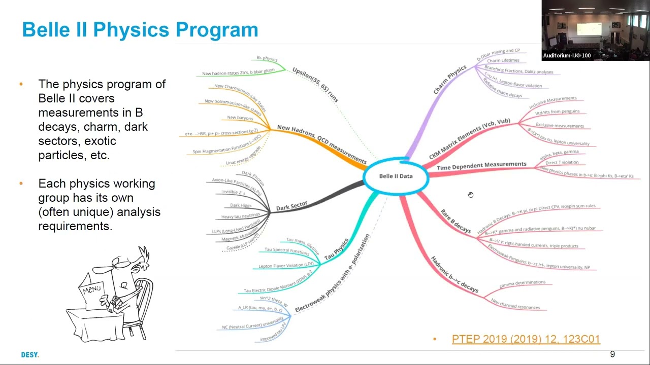 Reduced formats in Belle II