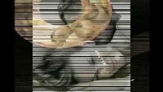 Parker McGee - I Just Can't Say No To You - [STEREO]