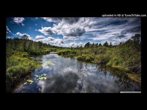 Violeta de la Timisoara - Colaj Manele LIVE UZIVO
