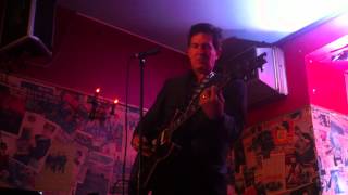 STEVE WYNN (solo) - My Old Haunts (2015, Munich)