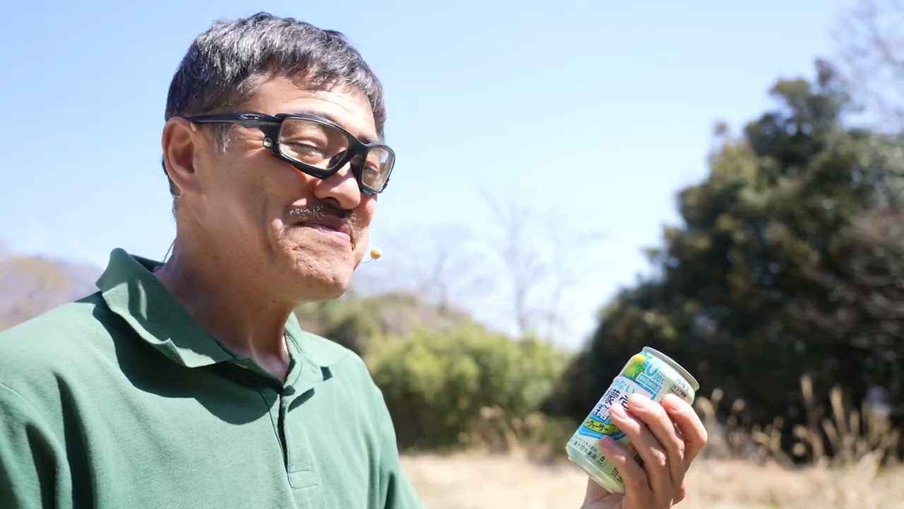 酔わないシークアーサー