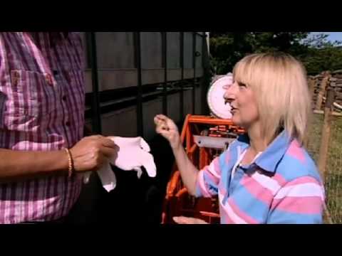 Pigs for The F Word Kitchen | The F Word