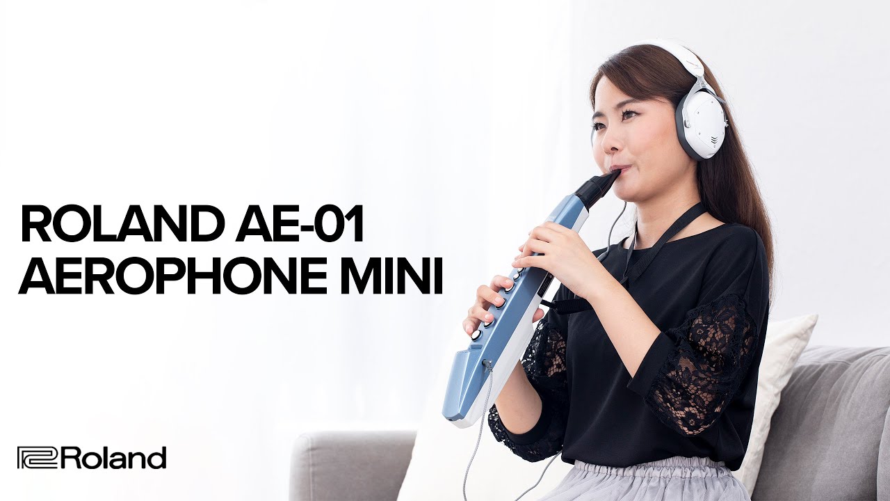 Roland Aerophone MINI Digital Wind Instrument (AE01)