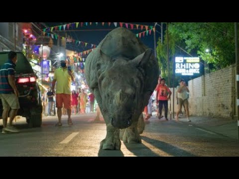 First Look: Planet Earth III ft. Hans Zimmer, RAYE and Bastille | BBC Studios