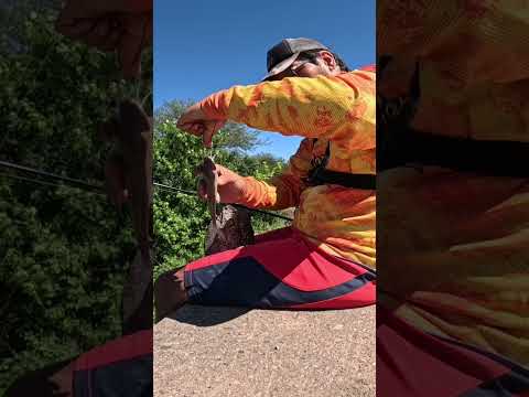 🔥MUCHA Pesca y Cocina🔥 Los Puestos y Arroyo Mista #pesca #fishing #argentina #tucuman #fish