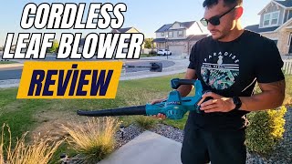 Cordless Leaf Blower Review 🍃 - 2x20V Battery, 2 Speed Levels for Lawn Care & Snow Blowing