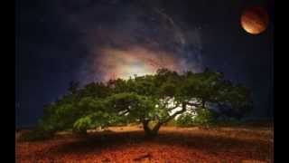 CherryMoon Trax - The House Of House (DJ Taucher Remix)