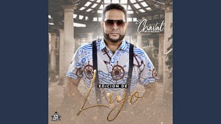 Dónde Están Esos Amigos