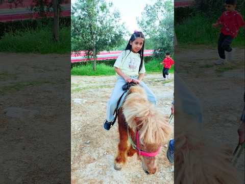 ليليان طلعت ع الحصان لأول مره 😱