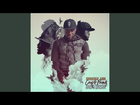 Protect Me (feat. Big Zeeks)