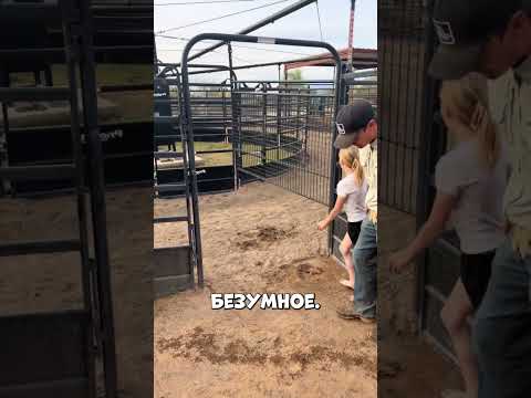 Семья устроила челлендж с ходунками и случилось это #shorts