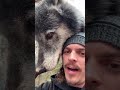 Being Friends with a Wolf