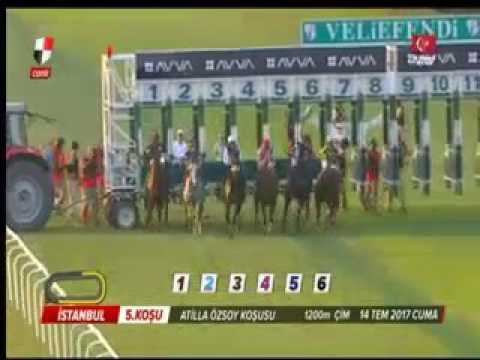 SON OF A LEGEND  ATİLLA ÖZSOY KOŞUSU    14/07/2017