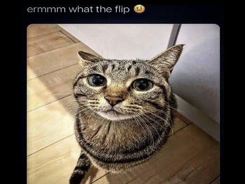 marvin takes a victory shower | oc animatic